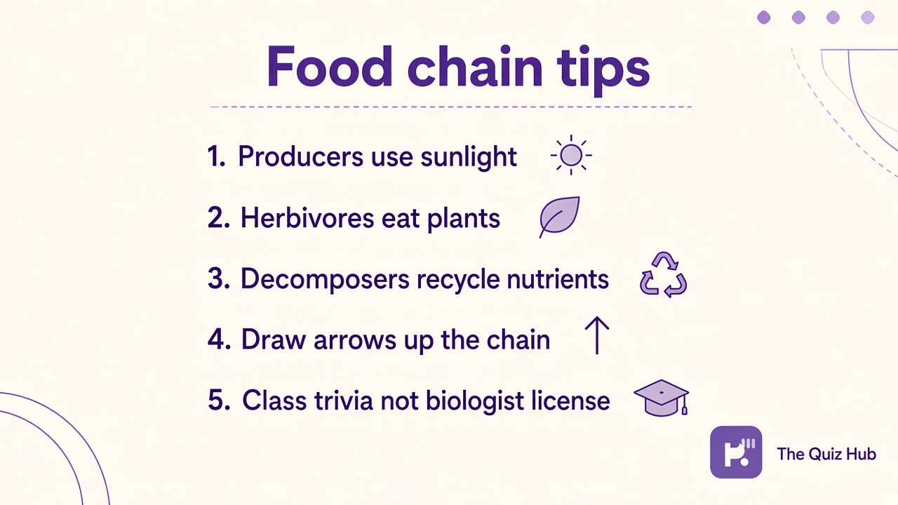 Food chain quiz tips: name producers; label consumers; trace decomposers; follow sun energy; study literacy not biology license