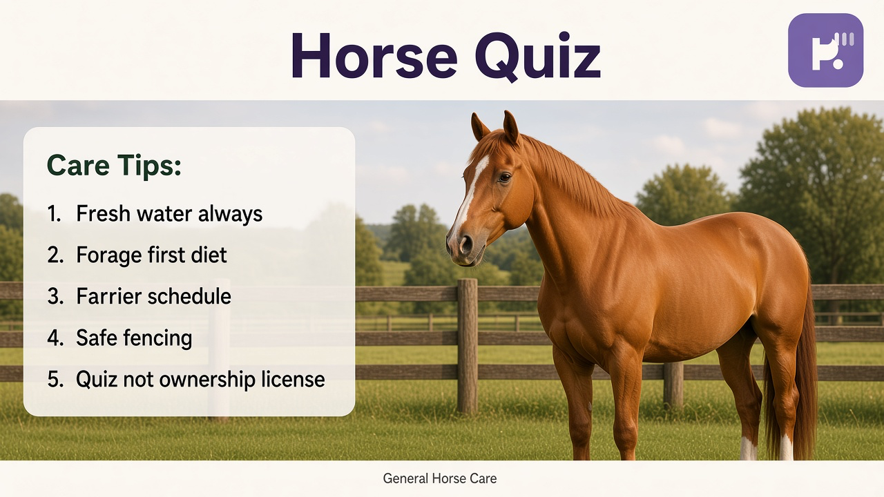Horse care tips: welfare basics; stable manners; handler kindness; quiz not ownership or trainer license