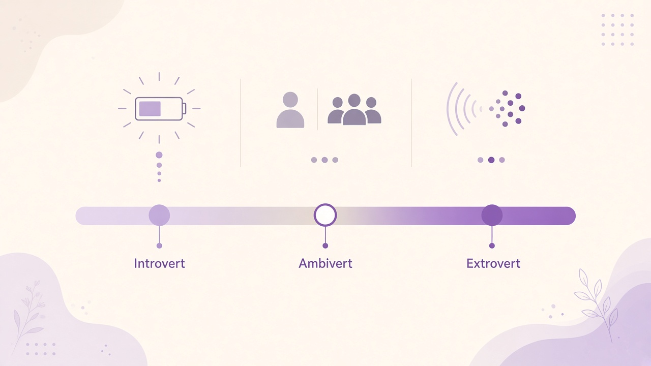 Introvert extrovert social energy spectrum diagram on The Quiz Hub